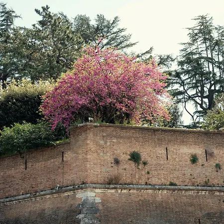 Vatican View Apartment - New Managment 2026-3